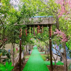 大丰收农家园 User Photo