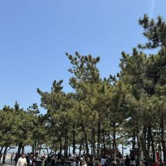 望海阁·海鲜舫(万平口景区店) User Photo