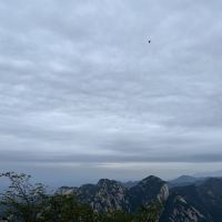 評論圖片 2