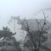 評論圖片 1