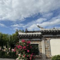 評論圖片 2