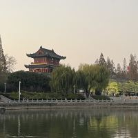 評論圖片 3