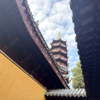 評論圖片 7