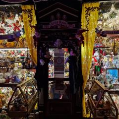 Little Kook User Photo