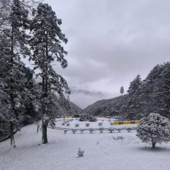 嘉豪淮海国际豪生酒店·浔阳中餐厅 User Photo