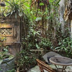 The Baboon House User Photo