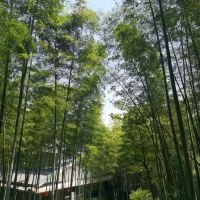 評論圖片 5