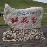 評論圖片 9