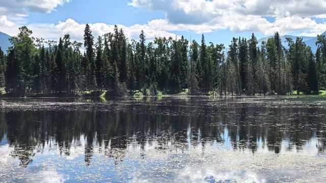 Kanas Lake Observation Deck