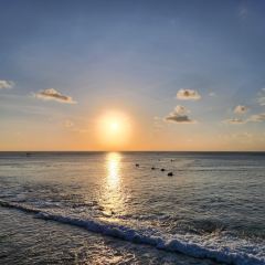 Rock Bar張用戶圖片