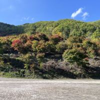 評論圖片 7