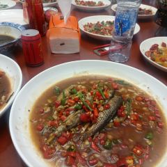 龙虎山野菜馆 User Photo