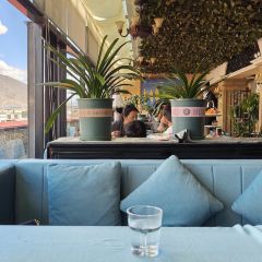 温莎咖啡公馆(布达拉宫景观店) User Photo