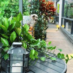 SURE唯尚花园西餐厅 User Photo