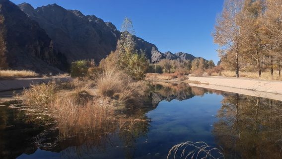 xuan bi chang cheng jing qu - xuan bi chang cheng yu men guan yi zhi