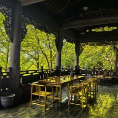 智矩寺皇茶坊 User Photo