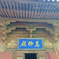 評論圖片 2