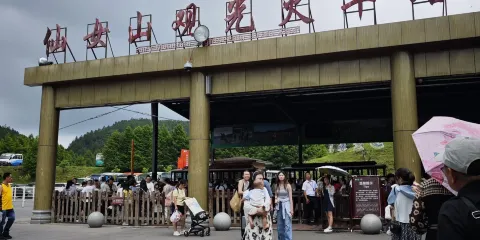仙女山國家森林公園-仙女山觀光火車站木梯子站