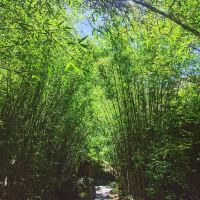 評論圖片 3