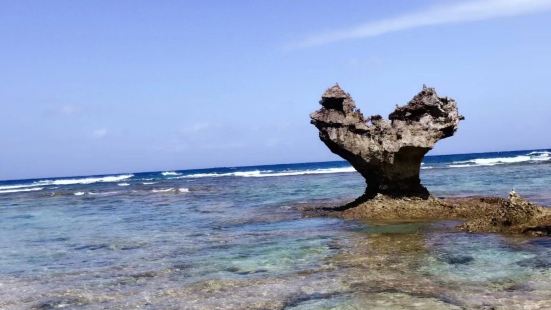 古宇利岛是浮在屋我地岛北上的直径约8km的圆形岛屿。海胆和海