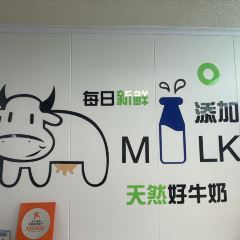 ZHENG FEI DAIRY 여행 사진