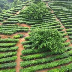 满氏家庭农庄 User Photo