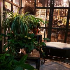 Showroom Cafe User Photo