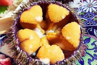 Nan Shan Xiao Yu Cun User Photo