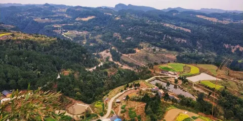 白牛寨森林公園