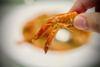 Fortune Pavilion User Photo