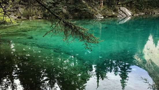 以前关注川西景色时没有注意到有措普沟这一景点，这次做进藏攻略