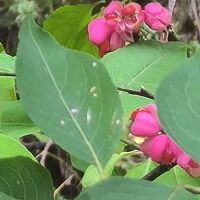 評論圖片 2