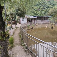 五厂坝休闲农庄 User Photo