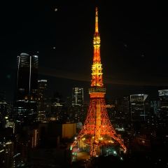 Sky Lounge Stellar Garden 여행 사진