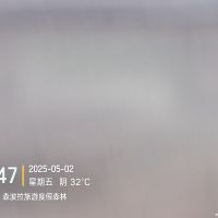 評論圖片 2