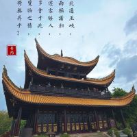 評論圖片 5