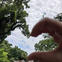評論圖片 3