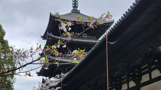 属于奈良公园之一，五重塔在修缮，中金堂收🎫500日元，里边