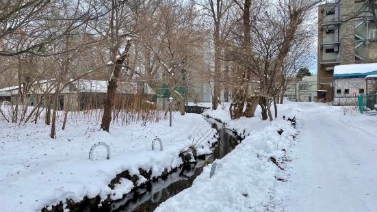 北海道大学（英语：Hokkaido University；日