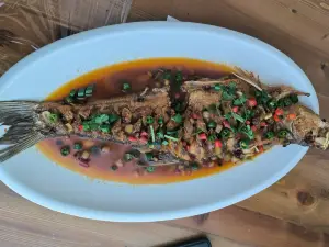 老屈頭生魚館