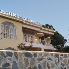 甜地森林餐厅 User Photo