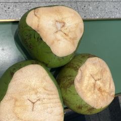Chicken inside Coconut User Photo