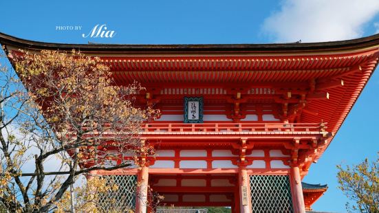 記2019.11 關西深秋行~清水寺是京都最著名的景點之一，