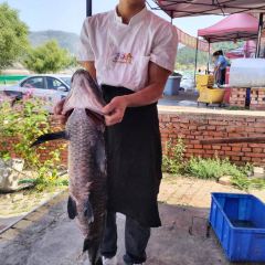 双悦农家渔村(紫蒙湖店) User Photo