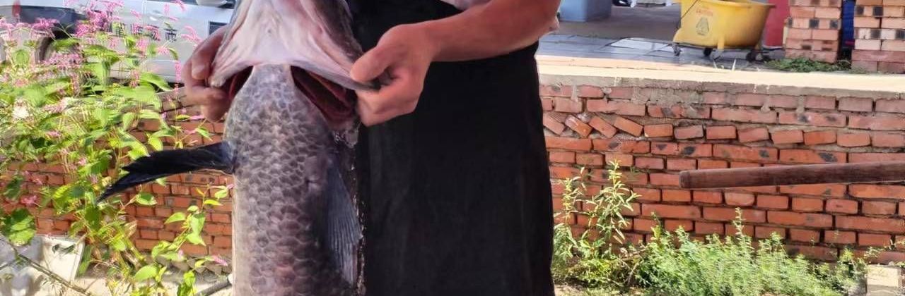 双悦农家渔村(紫蒙湖店)