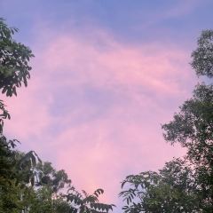 洞天农家菜馆 User Photo
