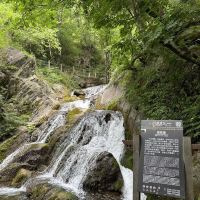 評論圖片 3