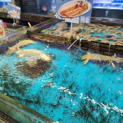 DaYang HaiXianCheng 여행 사진