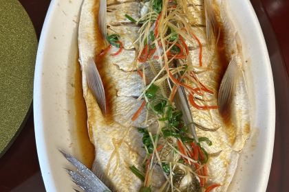 金华土菜馆(焦武线店)