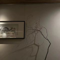 THE SYNC LOUNGE User Photo